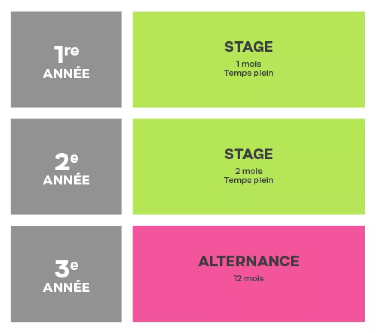 Bachelor en Alternance / Stage