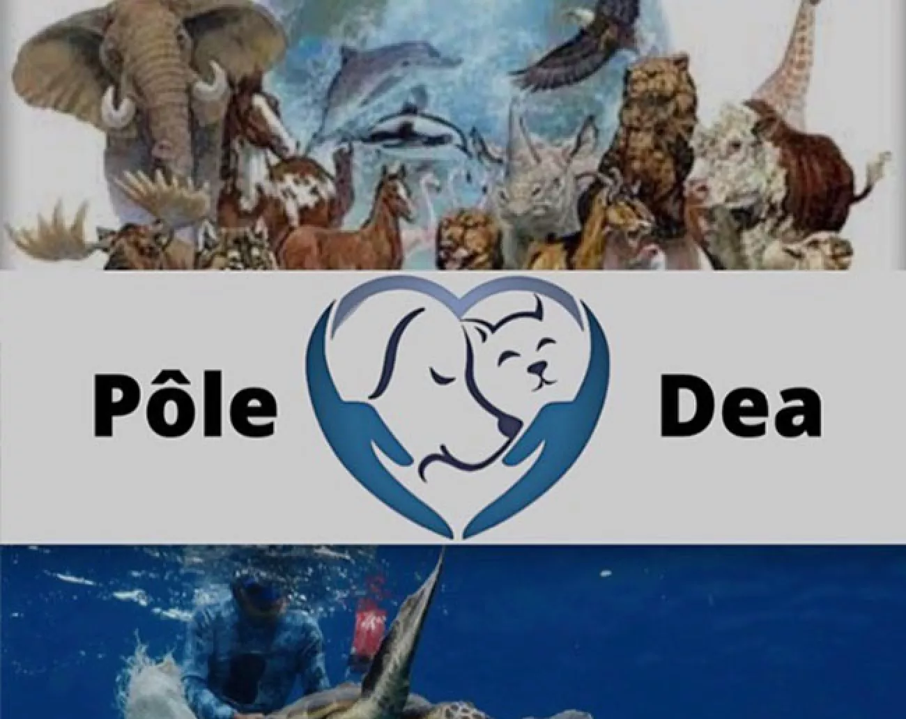 Pôle DEA : Défense des animaux