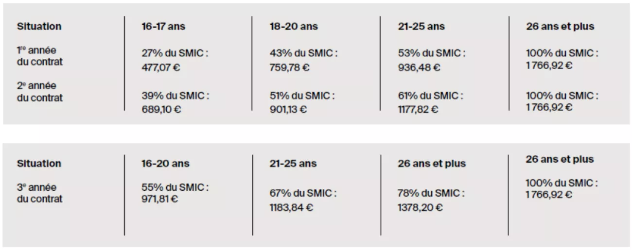 tableau des revenus en alternance